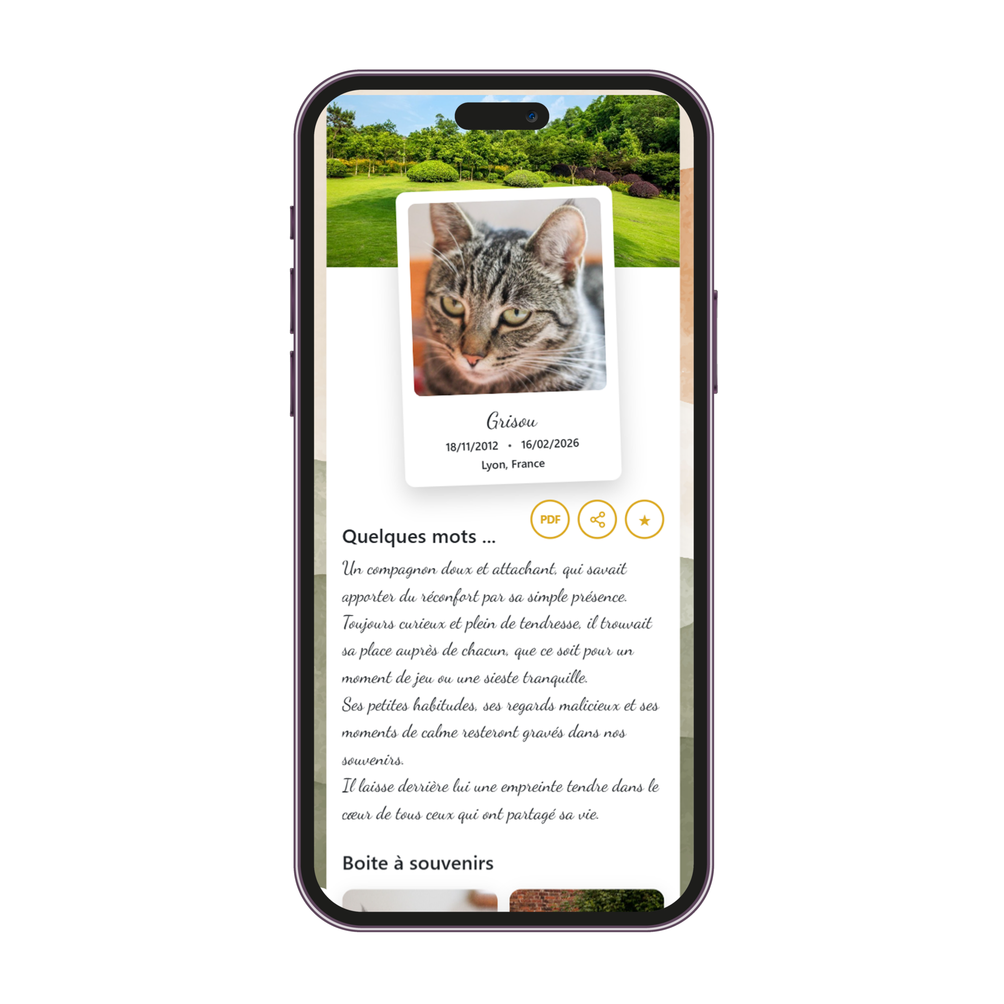 Espace souvenir animal Espace souvenir animal